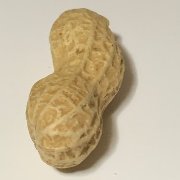 @xallonicaさんのアイコン