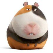 グ。さんのアイコン