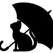 捨て猫さんのアイコン