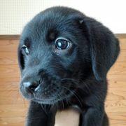 まめ太郎さんのアイコン