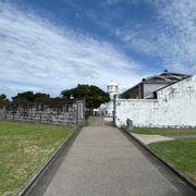 ツナマヨおにぎりさんのアイコン