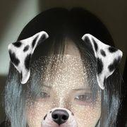 ふぃおみんさんのアイコン