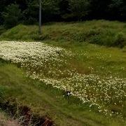 るんるん(-^〇^-)さんのアイコン