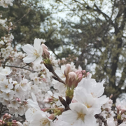 59e*****さんのアイコン