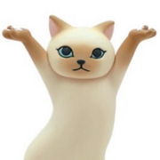 チャイ&bull;テンプルトンさんのアイコン