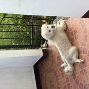 うんちくんさんのアイコン