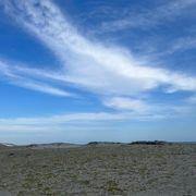 砂丘さんのアイコン