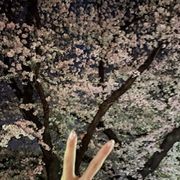 あんなさんのアイコン