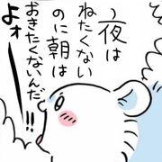 b3f*****さんのアイコン