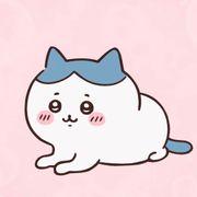 うりびんぼうｱﾁｮｰﾝさんのアイコン