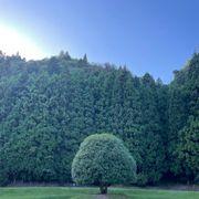 ふくさんのアイコン