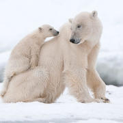 るかぶるぅさんのアイコン