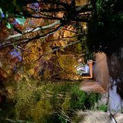 ☆さんのアイコン