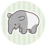 バクさんさんのアイコン