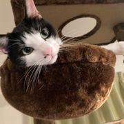 day*****さんのアイコン