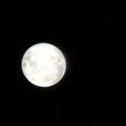 雨のち晴れさんのアイコン