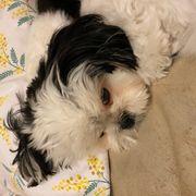 ilm*****さんのアイコン