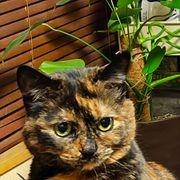 空野さんのアイコン