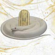 6c5*****さんのアイコン