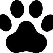 猫王様の下僕さんのアイコン