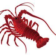 タイガーさんのアイコン