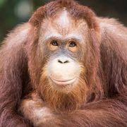 Gundannさんのアイコン