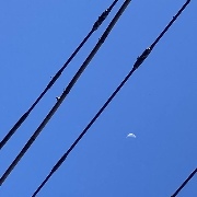 qq4*****さんのアイコン