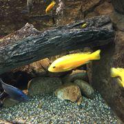 boki.さんのアイコン