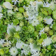 うっら!さんのアイコン