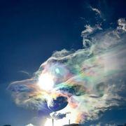 ドラゴンさんのアイコン