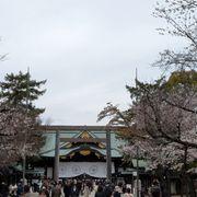 黄色のしっぽさんのアイコン