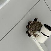 9c9*****さんのアイコン