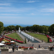 損切り名人さんのアイコン