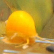 mmpSt.さんのアイコン