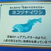 1万株好きさんのアイコン