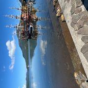 みなみのちびっこさんのアイコン