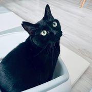 御影さんさんのアイコン