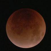 たろたろたろさんのアイコン