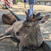 xyz*****さんのアイコン