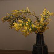 ミモザさんのアイコン