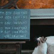 Adagioさんのアイコン