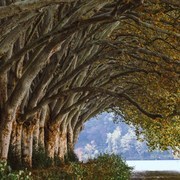 hit*****さんのアイコン