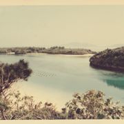 鯉名の銀平さんのアイコン