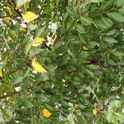 ftg*****さんのアイコン