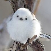 kiraさんのアイコン