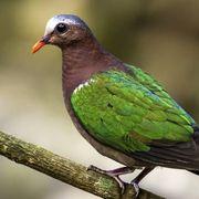 なで万&reg;(꒪ਊ꒪)ぐお〜ん！！さんのアイコン