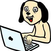 いっぬさんのアイコン