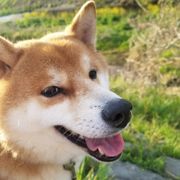 toc*****さんのアイコン