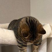 63c*****さんのアイコン