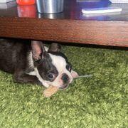 HIROSHIさんのアイコン